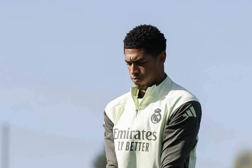 在意大利人, cn, msn 在意大利人, cn, msn