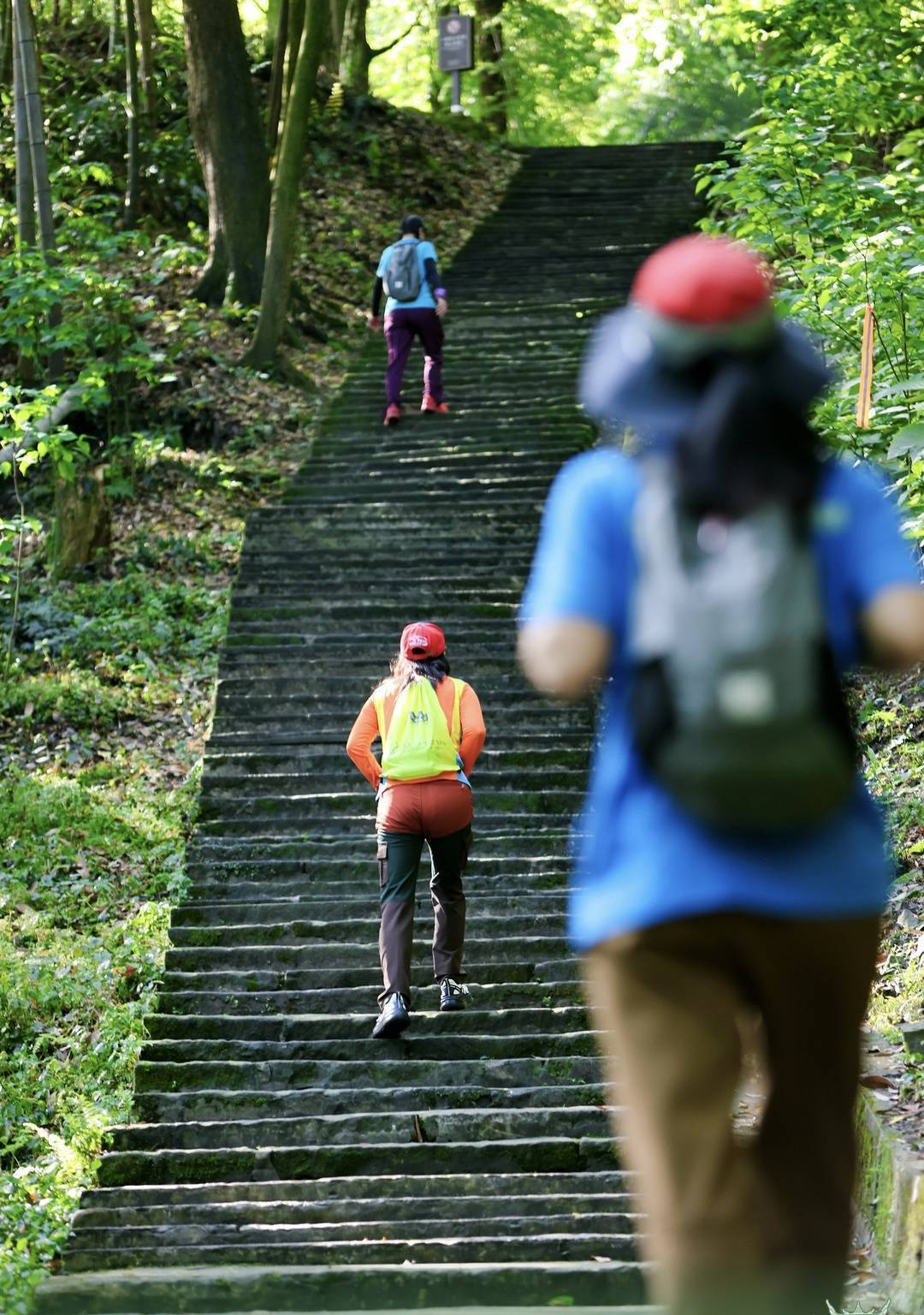 网友们再次, forma